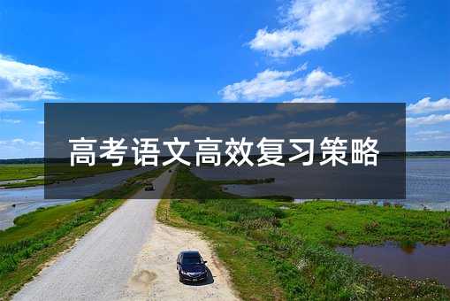 高考語文高效復習策略