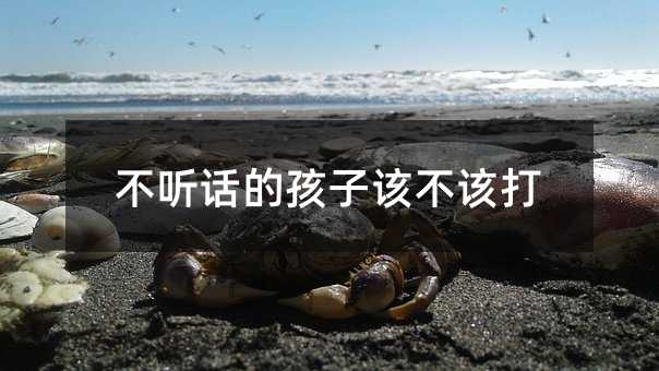 不聽話的孩子該不該打