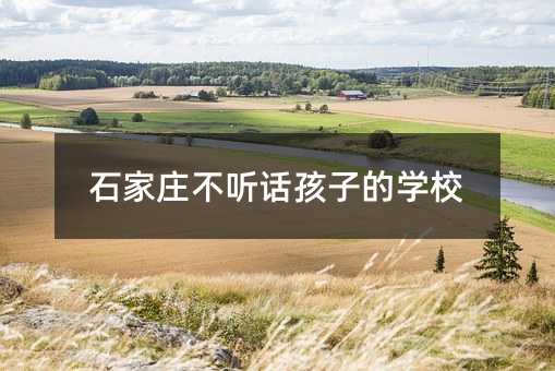 石家莊不聽話孩子的學校