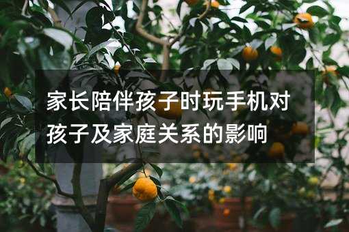 家長陪伴孩子時玩手機對孩子及家庭關(guān)系的影響