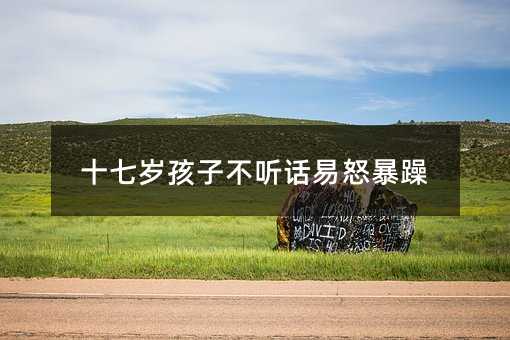 十七歲孩子不聽話易怒暴躁