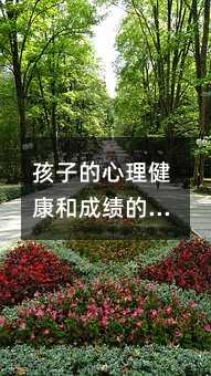 孩子的心理健康和成績的區(qū)別