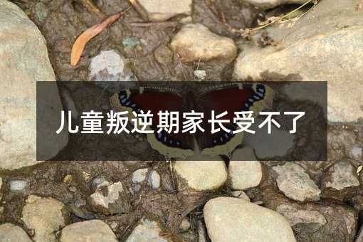 兒童叛逆期家長受不了
