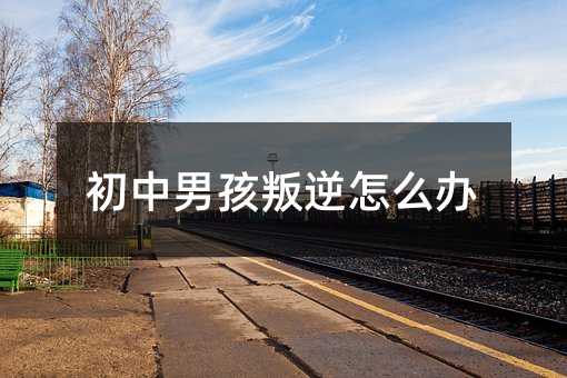 初中男孩叛逆怎么辦