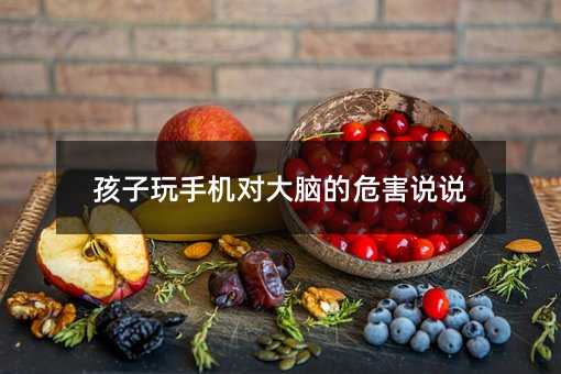 孩子玩手機對大腦的危害說說