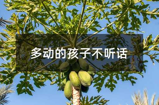 多動(dòng)的孩子不聽話