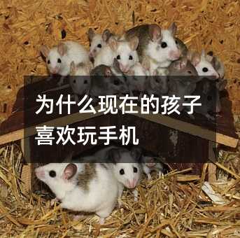 為什么現在的孩子喜歡玩手機