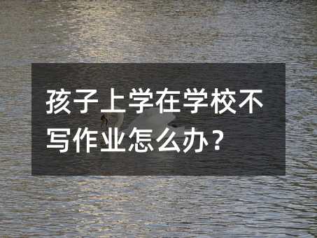 孩子上學在學校不寫作業(yè)怎么辦?