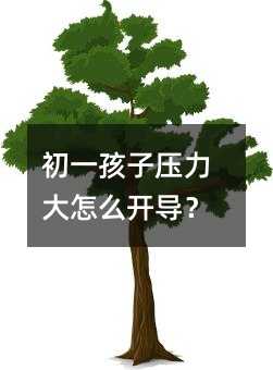 初一孩子壓力大怎么開導(dǎo)?