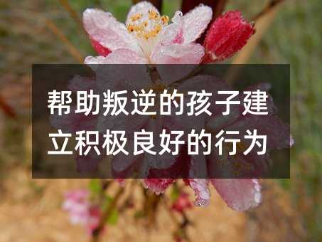 幫助叛逆的孩子建立積極良好的行為