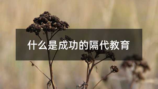 什么是成功的隔代教育