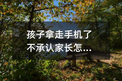 孩子拿走手機了不承認家長怎么辦