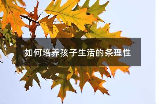 如何培養孩子生活的條理性