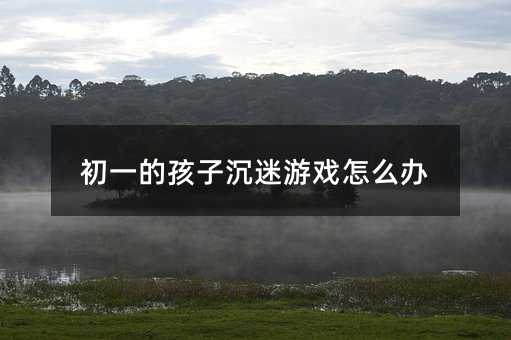 初一的孩子沉迷游戲怎么辦