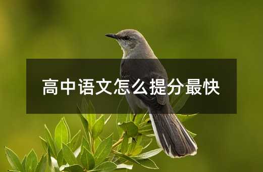 Zô