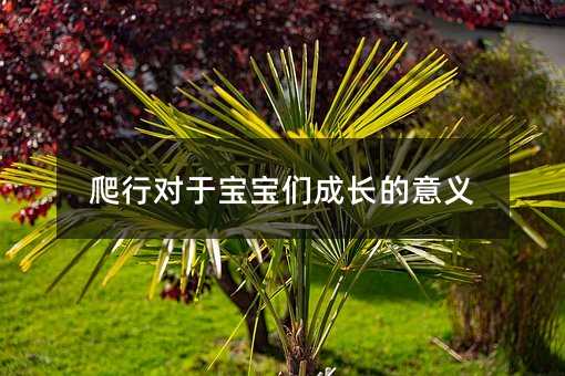 爬行對于寶寶們成長的意義