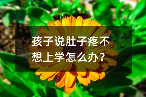 孩子說肚子疼不想上學(xué)怎么辦?