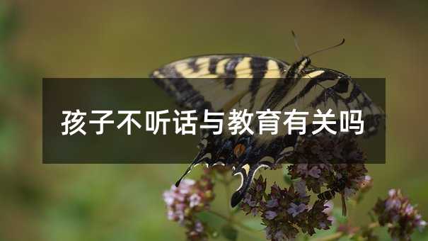 Ӳ ԒcP