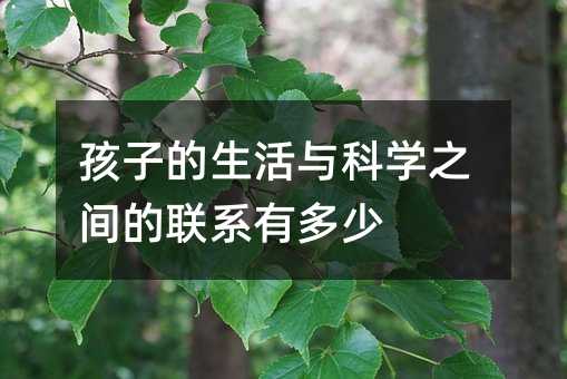 ���ӵ������c�ƌW֮�g��ϵ�ж���