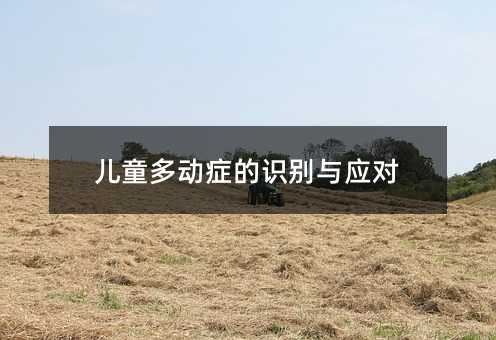 兒童多動癥的識別與應(yīng)對