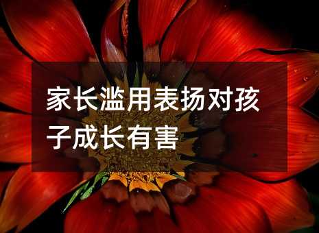 家長濫用表揚對孩子成長有害