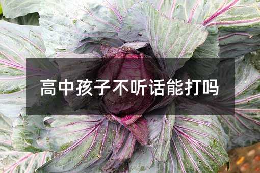 高中孩子不聽話能打嗎