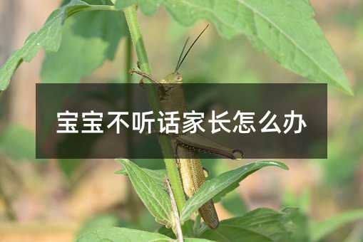 寶寶不聽話家長怎么辦