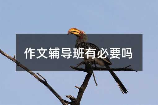 作文輔導班有必要嗎