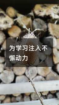 W(xu)(x)ע벻и