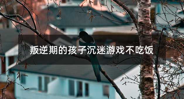 ڵĺӳΑ򲻳