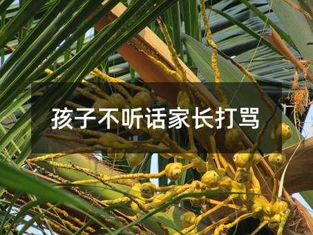 孩子不聽話家長打罵