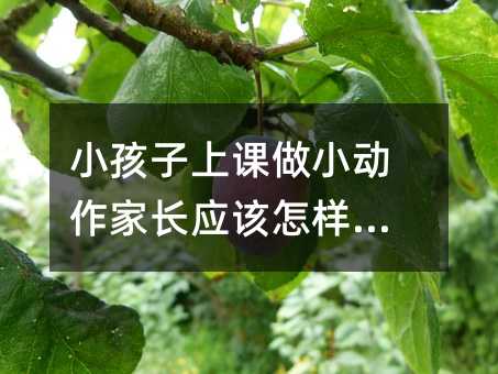 小孩子上課做小動作家長應該怎樣做?