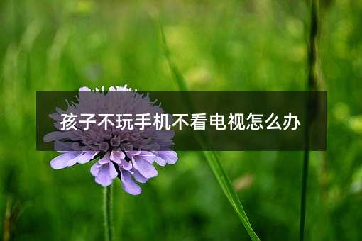 孩子不玩手機不看電視怎么辦