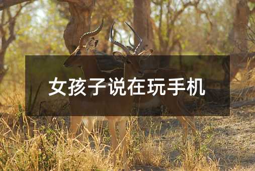 女孩子說在玩手機