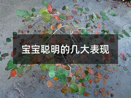 寶寶聰明的幾大表現(xiàn)