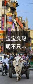 ׃ֻǋ؟