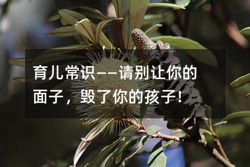 育兒常識——請別讓你的面子,毀了你的孩子!