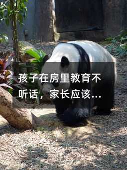 孩子在房里教育不聽(tīng)話,家長(zhǎng)應(yīng)該注意的幾點(diǎn)