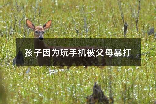 孩子因為玩手機被父母暴打
