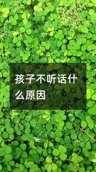 孩子不聽(tīng)話什么原因