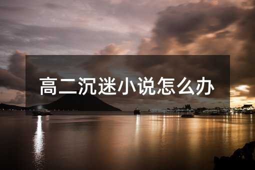 高二沉迷小說怎么辦