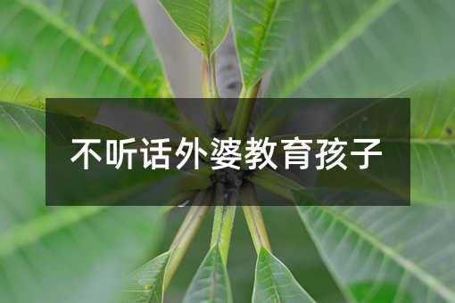 不聽話外婆教育孩子