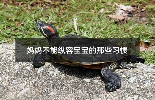 媽媽不能縱容寶寶的那些習慣