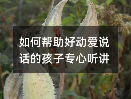 如何幫助好動愛說話的孩子專心聽講
