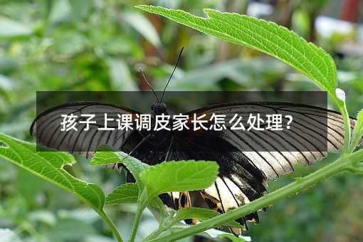 孩子上課調皮家長怎么處理?