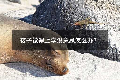 �����X���όW�]��˼��ô�k��