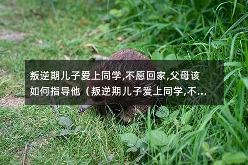 叛逆期兒子愛上同學,不愿回家,父母該如何指導他(叛逆期兒子愛上同學,不愿回家,父母該如何指導他們)