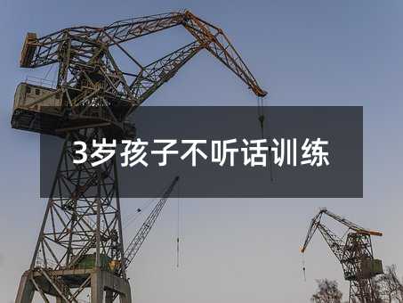 3歲孩子不聽話訓練