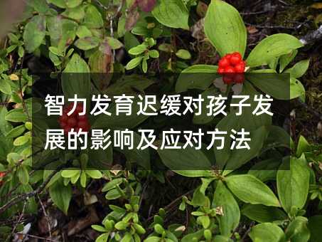 智力發育遲緩對孩子發展的影響及應對方法