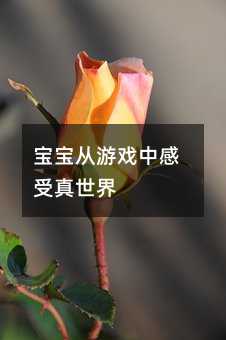 寶寶從游戲中感受真世界